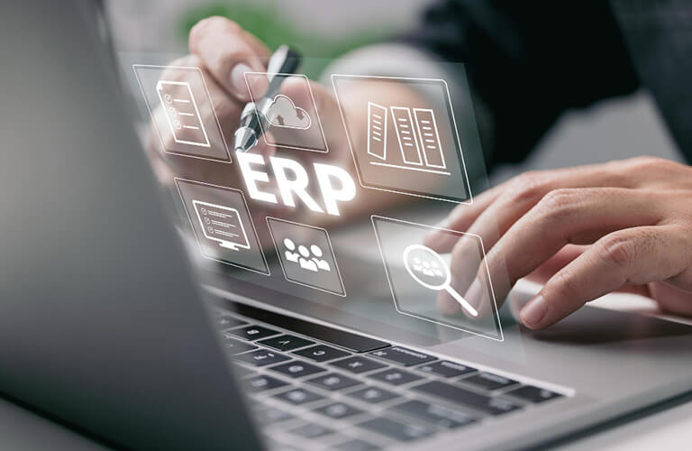 global ERP Customization
